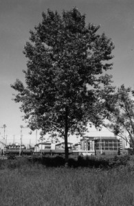 Studio Ferrarini e Pitteri